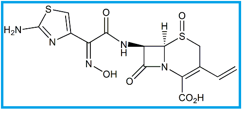 CEFDINIR SULFOXIDE